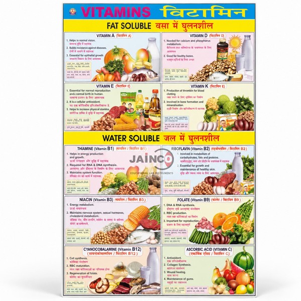 Vitamins Chart